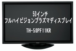 �v���Y�}�t���n�C�r�W�����@�����^��