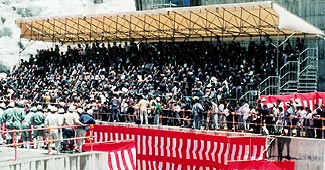 ���T�ϗ��ȁ@�����^��