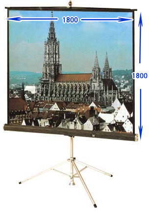 �����f�ʃX�N���[�� �X�^���h���X�N���[���̃����^�� W1800xD1800 �X�^���h�� �X�N���[�� ���� �����^�� ���� �O�r���X�N���[�� �����^�� �@���R�����^���T�[�r�X   �X�^���h���X�N���[���@�����^���@���R�����^���T�[�r�X�@�X�^���h���@�X�N���[���@�����^������ ��2,500/2��3���܂Ł@�@���R�@��c�@���C��@�Z�~�i�[�@�l�C�����^�����i�@