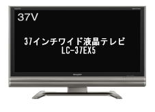 �t���e���r37�C���`�E�����^��