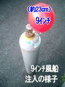 �w���E���K�X�@���D�@�̔��@���݃w���E���K�X�̍݌ɂ��c�菭�Ȃ��ׁA���߂̂��\������肢�v���܂�