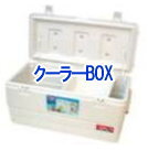 �N�[���[�{�b�N�X�����^��