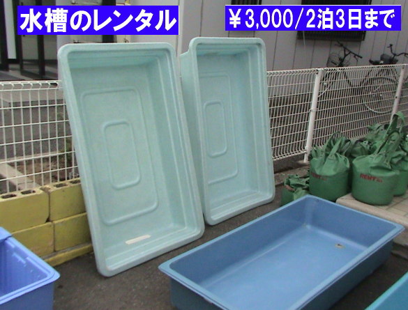 ���Ղ�@�����@�����^�� �C�x���g�@�����g�I�[���@���R