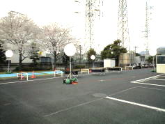 ���Ԍ��ł̃��~�G�A�[�E�����^��